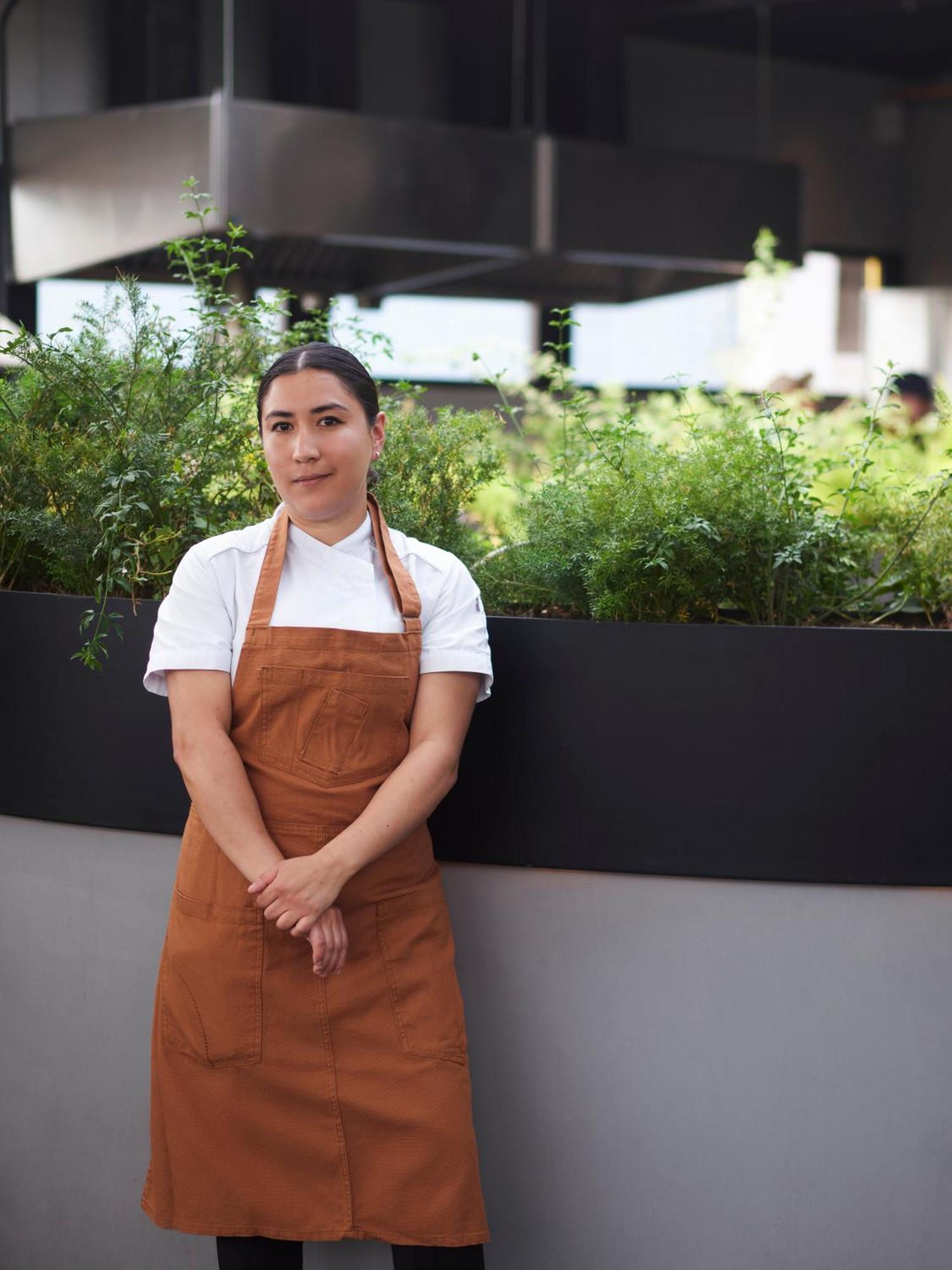 Maison Mexico Roma エクステリア 写真