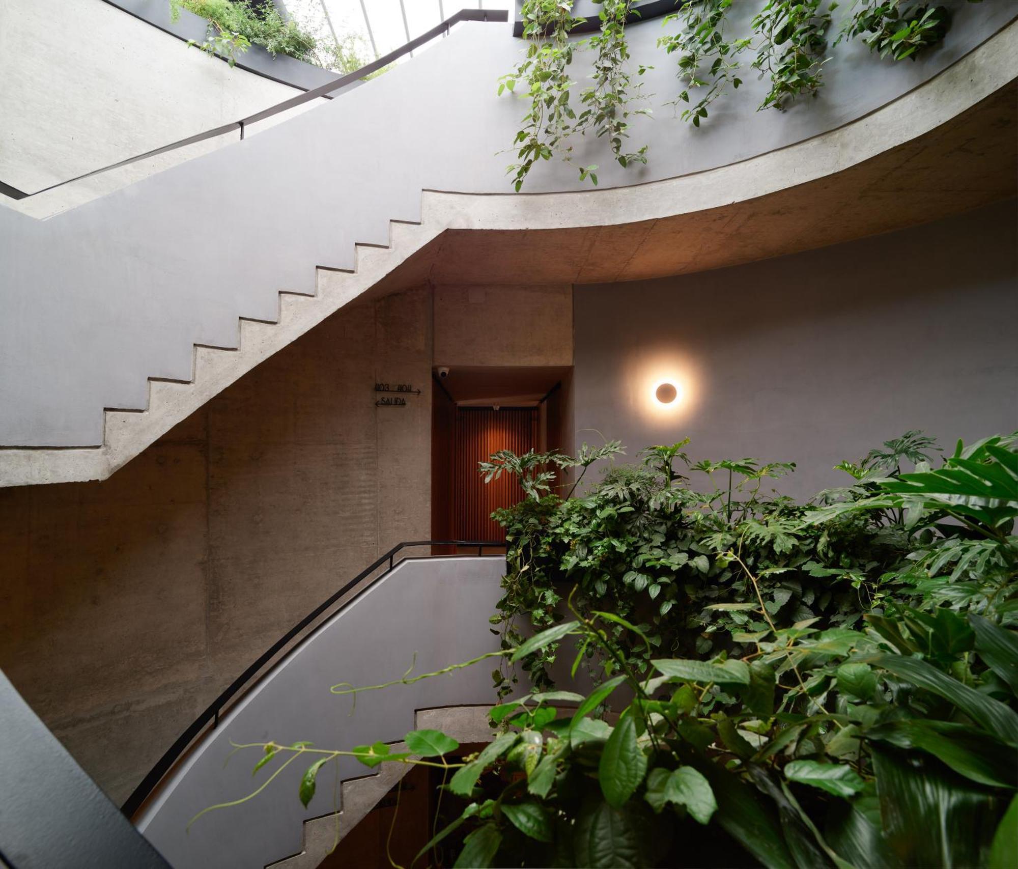 Maison Mexico Roma エクステリア 写真
