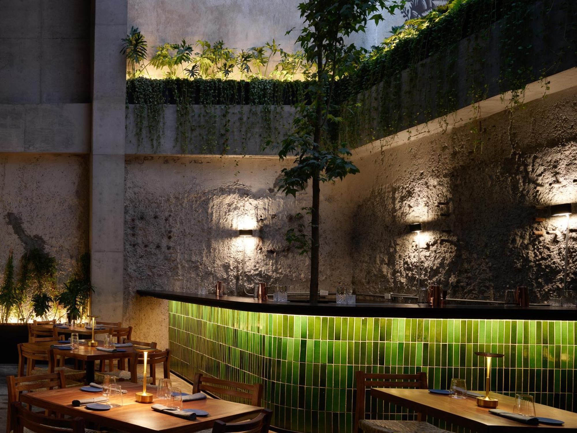 Maison Mexico Roma エクステリア 写真
